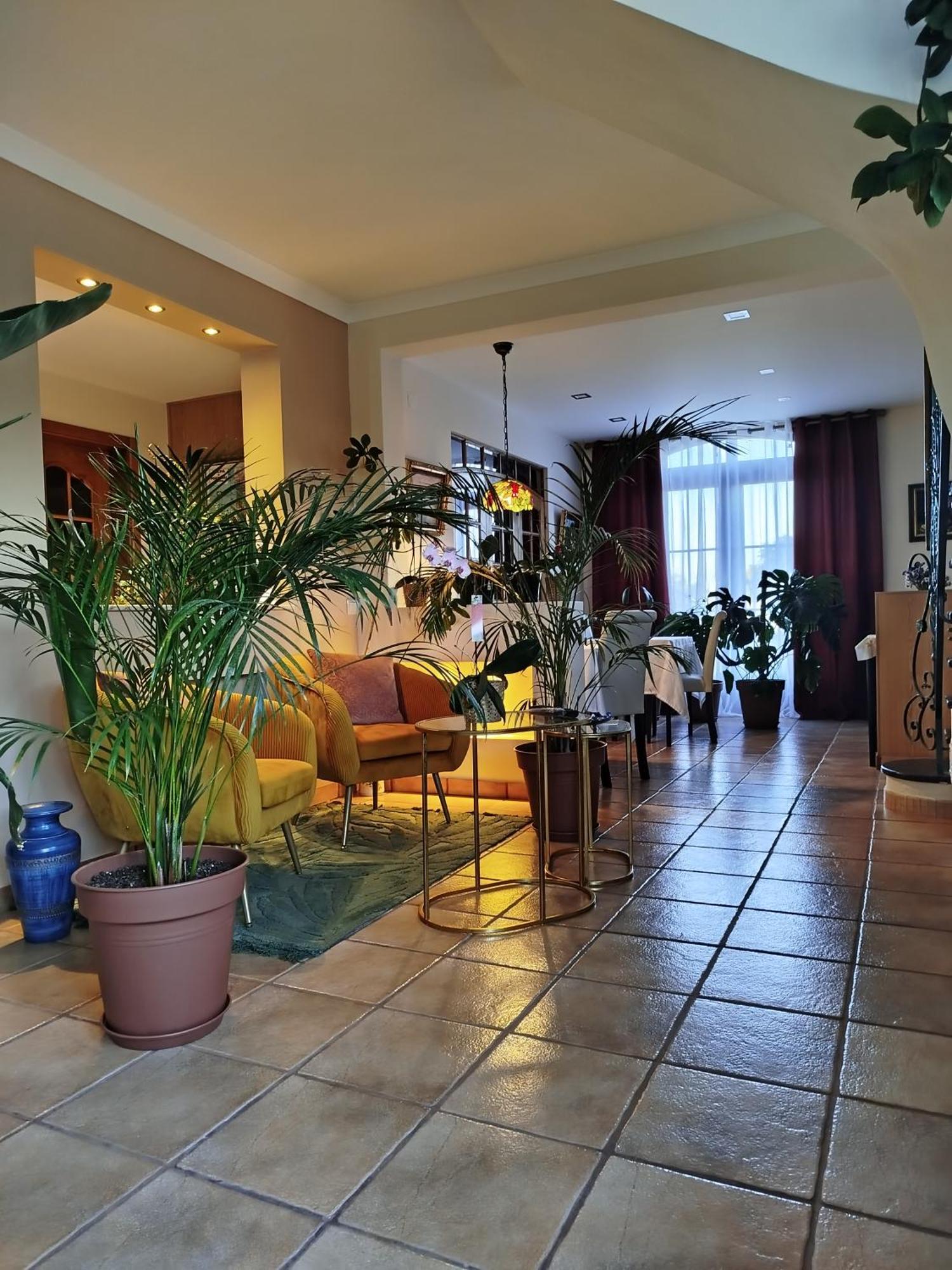 Elodie'S Country House - Alojamento Local Hotel Grândola Eksteriør billede